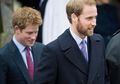 Jika Wajah Pangeran Harry Mirip dengan Sang Kakek, Seperti Siapa Pangeran William dengan Jenggotnya?