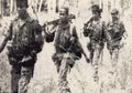 Perjuangan Tentara Indonesia Merebut Irian Barat, Sampai Rebus Sepatu untuk Dimakan Karena Kekurangan Logistik