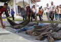 45 Jenazah Korban Tsunami Aceh 14 Tahun Silam Ditemukan Saat Hendak Menggali Lubang Untuk Septic Tank
