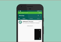 14 Keuntungan Pake GBWhatsApp yang Bisa Bikin Chattingan Makin Canggih