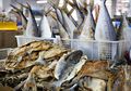 Menteri Susi Marah Besar, Indonesia Disebut Impor Ikan Asin yang Tinggi Nilai Gizi