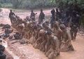 Kisah Anggota Kopassus yang Dianggap Gagal Jalankan Tugas, Disuruh Tidur di Kandang Sapi
