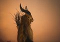 Krampus, Iblis yang Dipercaya Menghukum Anak-anak Nakal Saat Natal