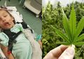 Menderita Kejang 300 Kali Sehari, Nasib Gadis 9 Tahun Ini Berubah Lebih Baik Setelah Mengenal Ganja