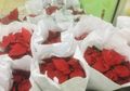 Cuma Ada Setahun Sekali, Bunga Kastuba Jadi Incaran untuk Hiasan Natal dan Tahun Baru