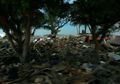 Tsunami Banten: Hanya Soal Waktu Tsunami Terjadi di Wilayah Indonesia