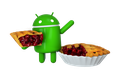 Dari Seri J Hingga S, Ini Jadwal Update Android Pie di Smartphone Samsung