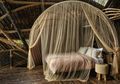 Gunakan Material Bambu, Cantiknya Eclipse House di Bali yang Mendunia