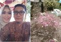 Baru 4 Hari Dimakamkan, Nisan Bani Seventeen Hilang Dicuri Orang