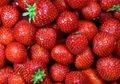 17 Manfaat Buah Stroberi, dari Obati Sembelit Hingga Putihkan Gigi