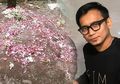 Nisan Bani Seventeen Hilang, Mantan Seventen: Siapa pun yang Ambil Tolong Kembalikan