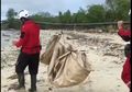 Dampak Lain Tsunami Banten: Banyak Penyu Terdampar di Daratan!
