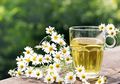 Herbal Antihistamin Alami Sebagai Obat Biduran Tradisional yang Ampuh