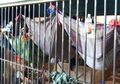 Dihuni 8 Kali Lipat dari Kapasitas Seharusnya, Narapidana Ini Bikin Tempat Tidur Melayang Bak Orang Utan!