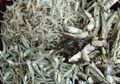 Berbagai Kandungan Ikan Teri, Bisa Kurangi Risiko Serangan Jantung