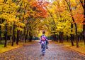 Wabi Sabi, Konsep Jepang yang Menghargai Keindahan dalam Ketidaksempurnaan