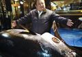 Ikan Tuna Raksasa Ini Terjual dengan Harga Rp43 Miliar, Inilah Orang Beruntung yang Berhasil Membelinya