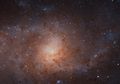 Teleskop Hubble Tangkap Gambar Detail Triangulum, Si Galaksi Tetangga