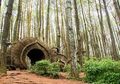 Melihat Keindahan Malam dari Ketinggian di Pinus Pengger, Jogja