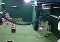 Mengenang Kematian Adiknya, Wanita Ini Buat Rumah Kucing di Basement