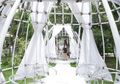 Bagai Oase di Tengah Kota, Intip Desain Kokonut dan Curtains yang Terinspirasi dari Hembusan Angin