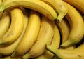Selain Sumber Vitamin, 5 Buah Ini Bisa Sembuhkan Diare pada Anak.