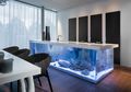 Unik dan Modern! Aquarium Ini Berfungsi Ganda Sebagai Meja Dapur