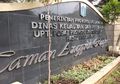 Cari Inspirasi Tanaman Hias, Yuk Kunjungi Taman Anggrek Ragunan!