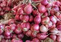 Ini Manfaat Bawang Merah untuk Rambut, Bikin Rambut Sehat dan Cantik Alami