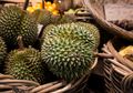 Sopir Angkot Tangerang Meninggal Usai Pesta Durian, 500 gr Durian Meningkatkan Denyut Jantung Dalam 2 Jam