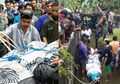 Berhasil Dipindahkan ke Pusat Penangkaran Satwa, Buaya yang Terkam Deasy Tuwo Mendadak Mati