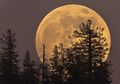Begini Cara Tepat Abadikan Momen Supermoon dengan Kamera, Yuk Ikuti!