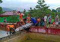 Buaya yang Terkam Tubuh Deasy Tuwo Hingga Tersisa Sebagian Tubuh Mendadak Mati!