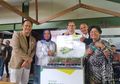 Tanpa AC, Rumah Bisa Tetap Adem Dengan Pakai Solusi Atap Hijau