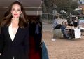 Angelina Jolie Tertangkap Kamera 'Gelar Dagangan' Makanan Anjing di Sebuah Taman