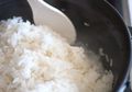 Meski Sepele Tapi Bisa Menguntungkan, Inilah Beda Masak Nasi dengan Air Mendidih dan Air Biasa, Mana yang Biasa Anda Terapkan?