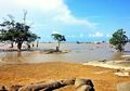 Pesona Pantai Tapak Hantu, Destinasi Wisata Unggulan di Desa Batu Belubang