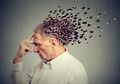 Para Ilmuwan Ini Kembangkan Kecerdasan Buatan untuk Memahami Alzheimer