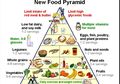 Nah, Ini Dia Piramida Makanan Baru untuk Hidup yang Lebih Sehat