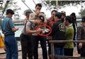 Presiden Jokowi Kepatil, Ternyata Ini Bahaya Bakteri Vibrio Vulnificus dan Cara Mengatasinya