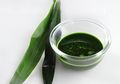 Lebih Mujarab dari Obat, Rebusan Daun Suji Ternyata Manfaatnya Gak Main-main! Dari Turunkan Kolesterol Hingga Leukimia