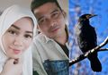 Janggal, Suami Saphira Indah Lihat Burung Misterius Hinggap di Rumah Malam Hari: Itu Pertanda...