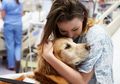 Pet Theraphy, Menggunakan Hewan Peliharan Untuk Mengobati Kanker