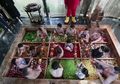 Hotel di China Ini Suguhkan Kolam Air Panas dengan Tema Buah dan Sayur