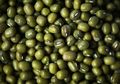 Rutin Menggunakan Masker Alami dari Kacang Hijau Ternyata Bisa Buat Wajah Mengalami Perubahan Fantastis Ini