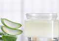 Kulit Bebas Jerawat dengan DIY Krim Anti Jerawat Lidah Buaya Ini!