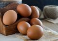 Peneliti Inggris 'Modifikasi' Ayam yang Bisa Hasilkan Telur Antikanker, Seperti Apa?