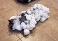 Kucing Lucu Ini Berhasil Bertahan Hidup Setelah Badannya Beku Total