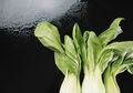Minum Jus Bok Choy Sehat, Tapi Jangan Terlalu Sering Karena Picu Kanker Tiroid