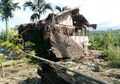 Habitatnya Terganggu, Kawanan Gajah Liar Serang Permukiman Warga